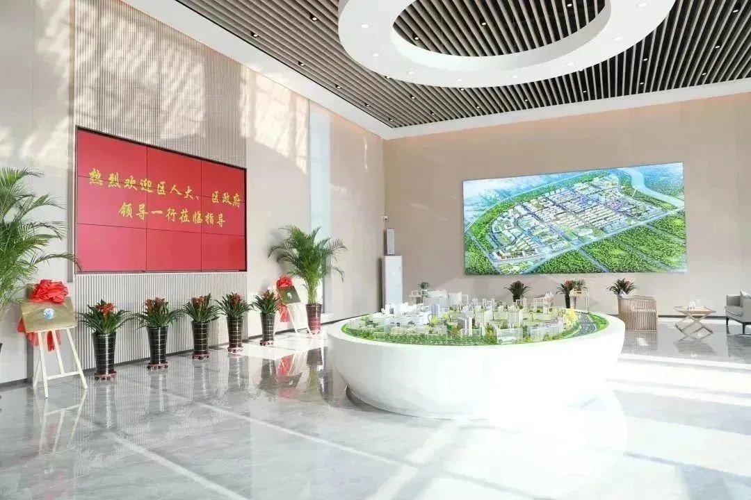 龍港區(qū)人大、區(qū)政府領(lǐng)導(dǎo)一行視察調(diào)研龍港國際醫(yī)療健康產(chǎn)業(yè)園(圖2)