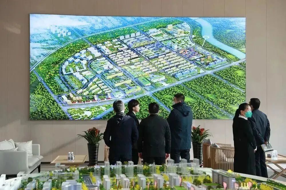 龍港區(qū)人大、區(qū)政府領(lǐng)導(dǎo)一行視察調(diào)研龍港國際醫(yī)療健康產(chǎn)業(yè)園(圖8)