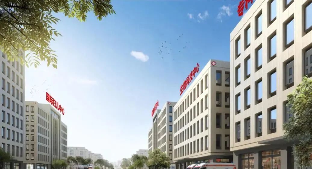 龍港區(qū)人大、區(qū)政府領(lǐng)導(dǎo)一行視察調(diào)研龍港國際醫(yī)療健康產(chǎn)業(yè)園(圖24)